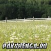 pakshenga_2011_3_ 